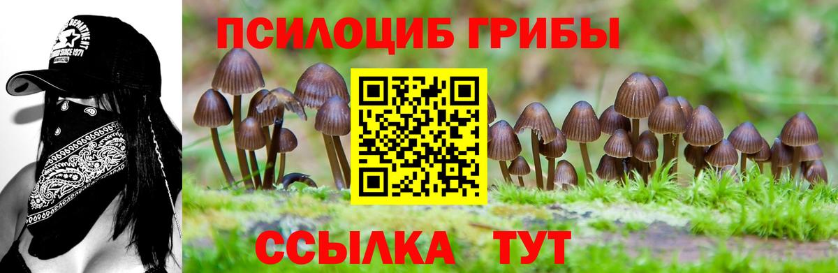 Галлюциногенные грибы прущие грибы Долгопрудный
